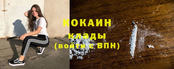 дживик Пересвет