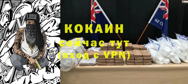 дживик Пересвет