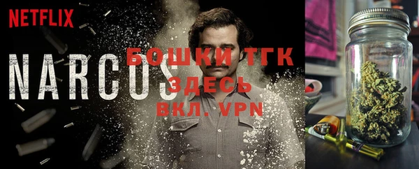дживик Пересвет