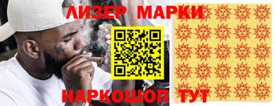 сатива Новозыбков