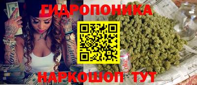 сатива Новозыбков