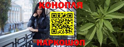 сатива Новозыбков