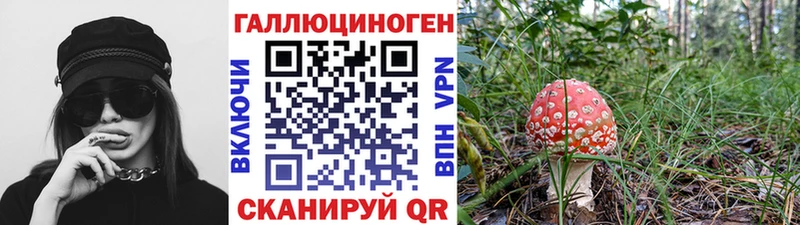 Галлюциногенные грибы Psilocybine cubensis  OMG зеркало  Фролово 