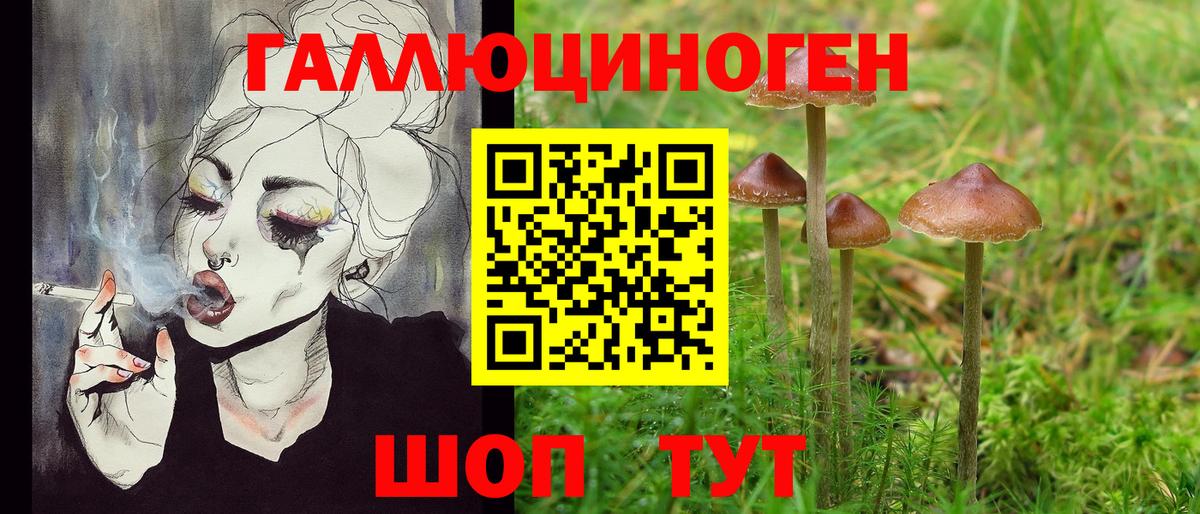 Фролово  Галлюциногенные грибы прущие грибы  Псилоцибиновые грибы Psilocybine cubensis  Вход с VPN 