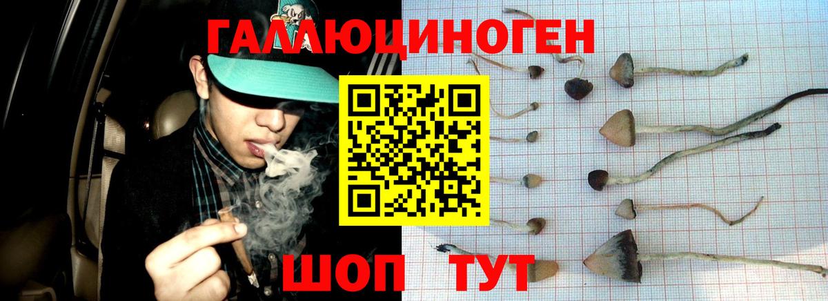 Меф Фролово