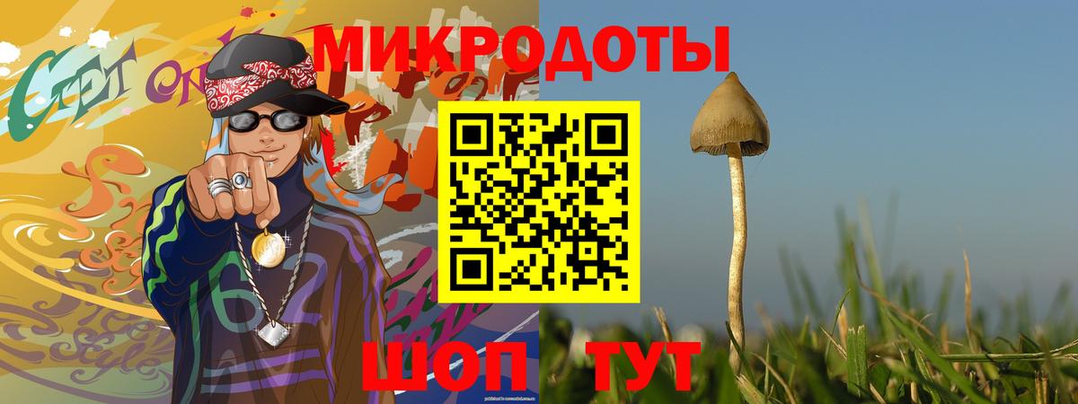 Псилоцибиновые грибы Cubensis Фролово