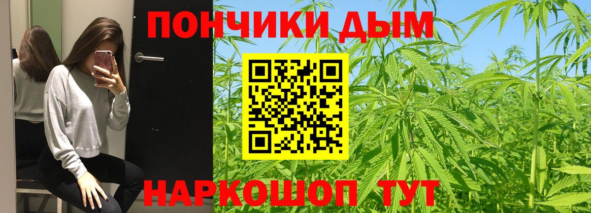 Бошки марихуана Bruce Banner  Вход с VPN  Фролово  МАРИХУАНА тримм 